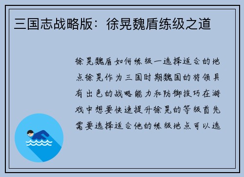 三国志战略版：徐晃魏盾练级之道